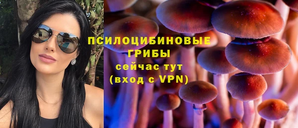 а пвп мука Мегион