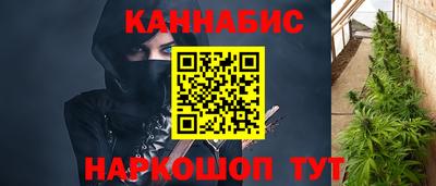 прущие грибы Ирбит