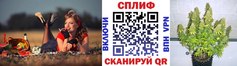 Бошки Шишки THC 21%  Мурино 