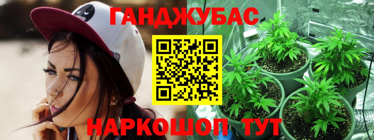 Конопля индика Мурино